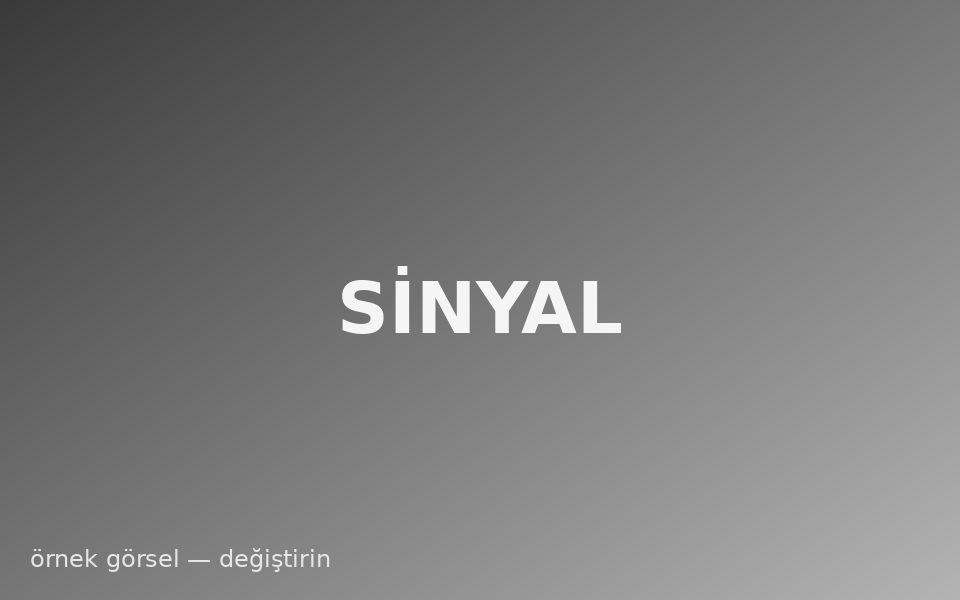Ham sinyal görüntüsü